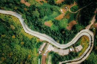 绿意盎然中的乡村公路画卷