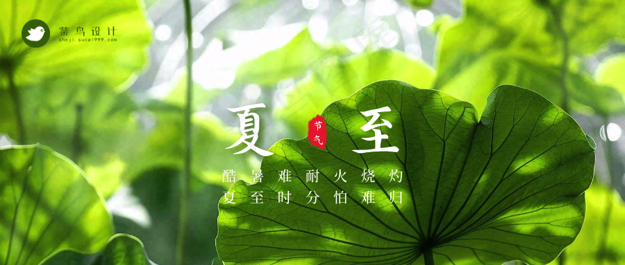 夏至公众号首图