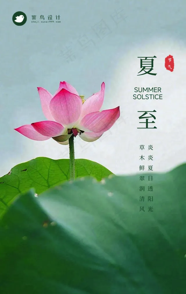 夏至手机海报