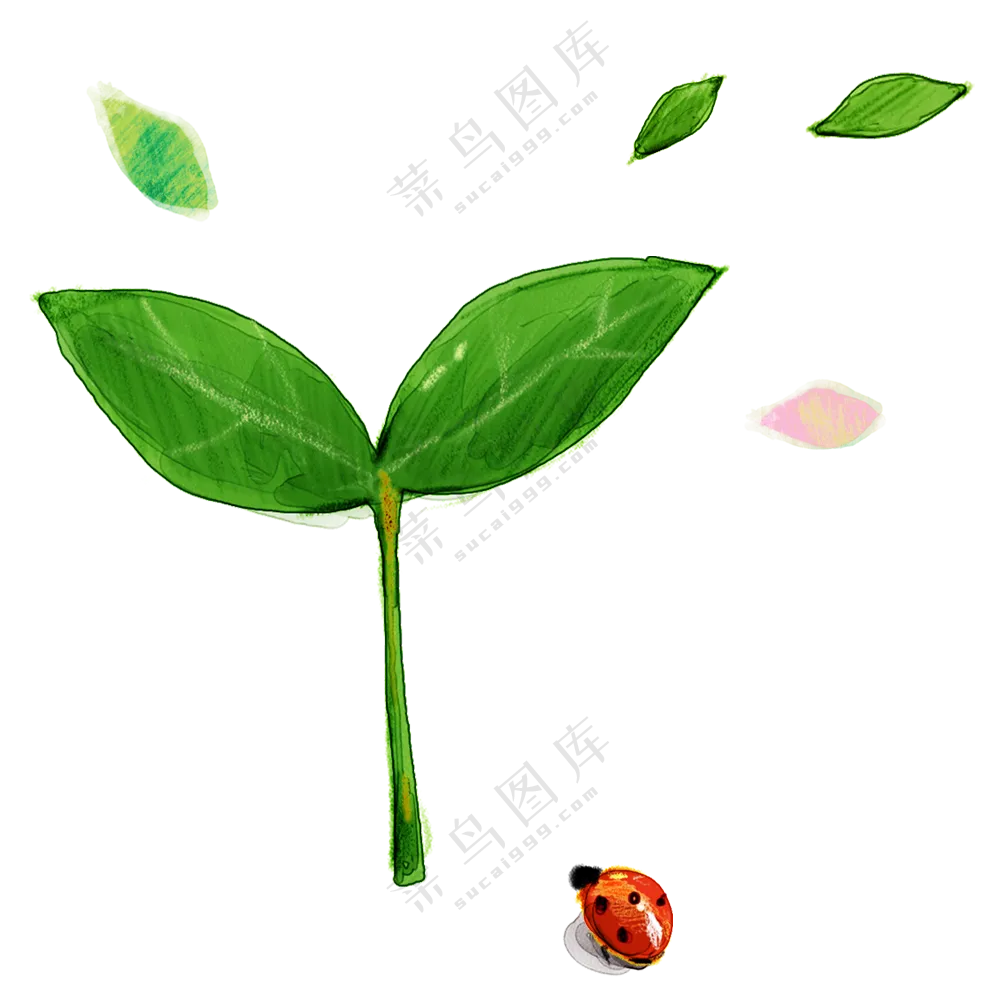 绿色的小草