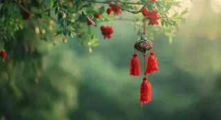 端午节树枝上挂着香囊艾叶香包祈福摄影图