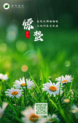 惊蛰手机海报