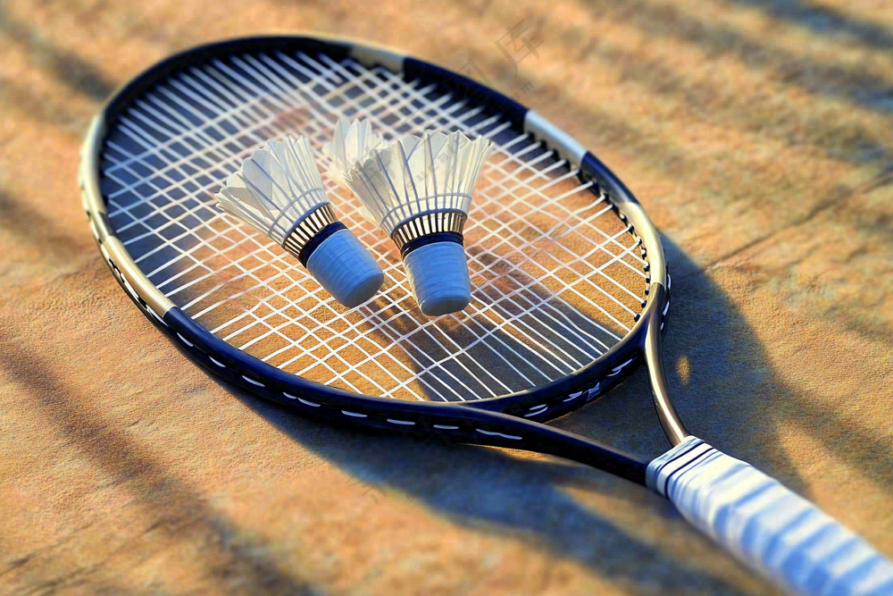 a close up of a tennis racket with two shuttles, a picture by Niko Henrichon, trending on dribble, hurufiyya, badminton, realistic rackets, tennis racket 