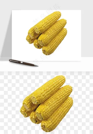 玉米带叶玉米png免抠