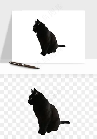 猫咪喵星人狗狗宠物元素png免抠