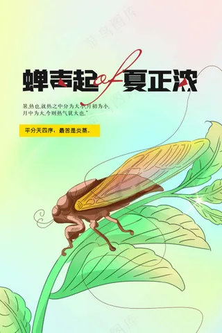 简约夏至节气海报