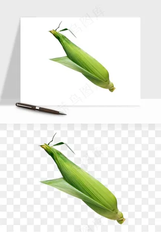 玉米带叶玉米png免抠