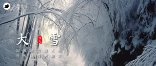 大雪公众号首图
