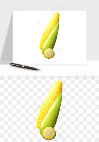 玉米带叶玉米png免抠