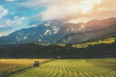 金色麦田与远山的宁静交响曲