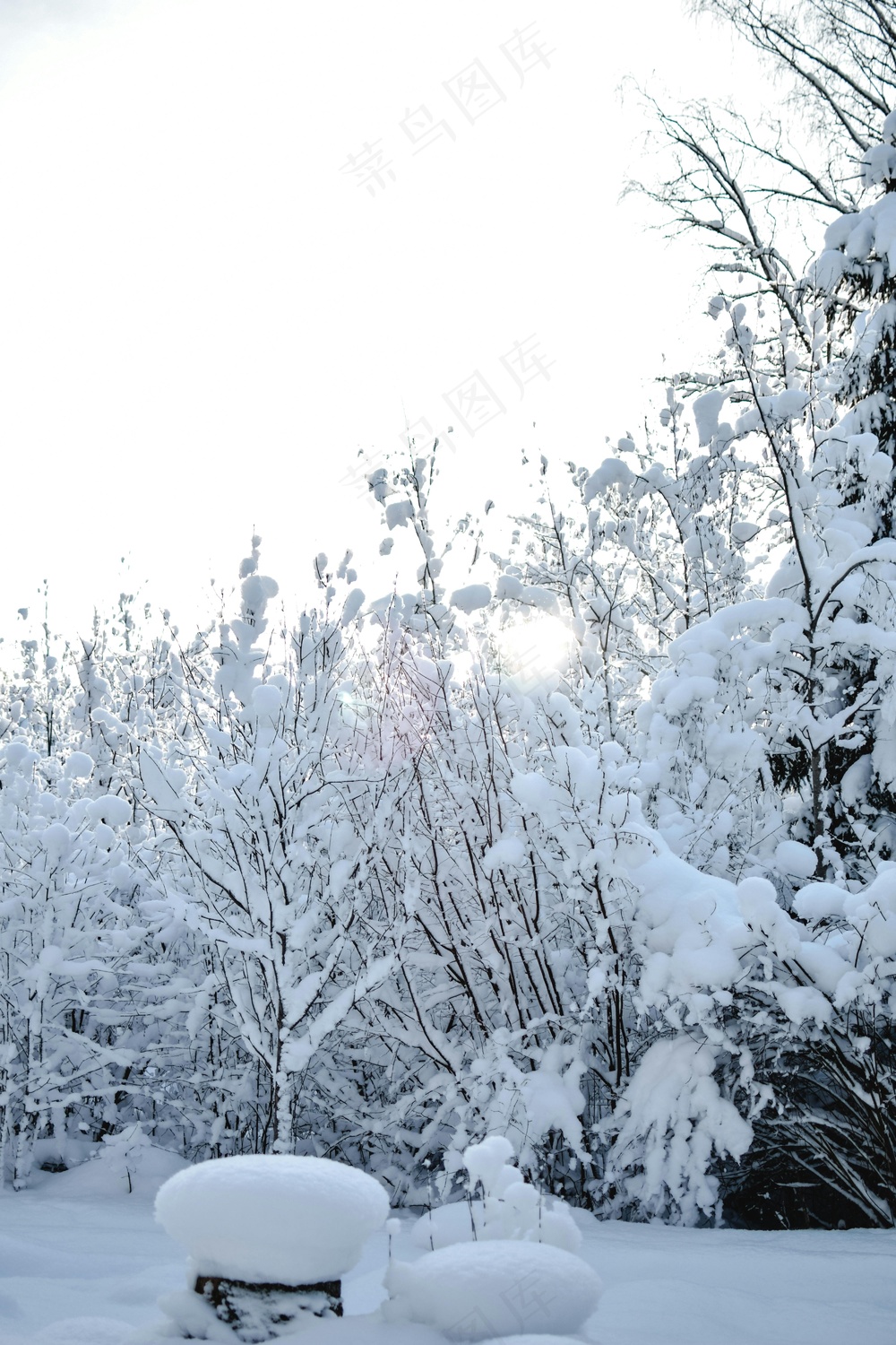 雪覆林间静寂景 灰白古朴桌面画