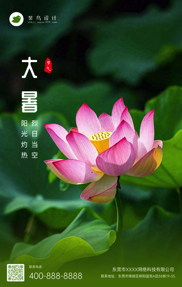 大暑手机海报