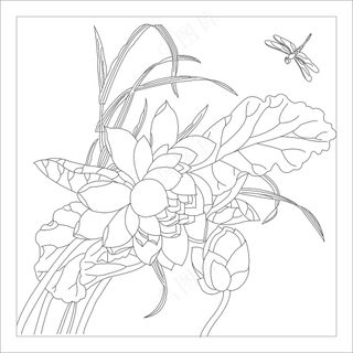 矢量图  荷叶与蜻蜓