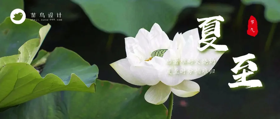 夏至公众号首图