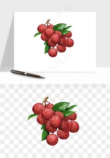 荔枝妃子笑水果png免抠