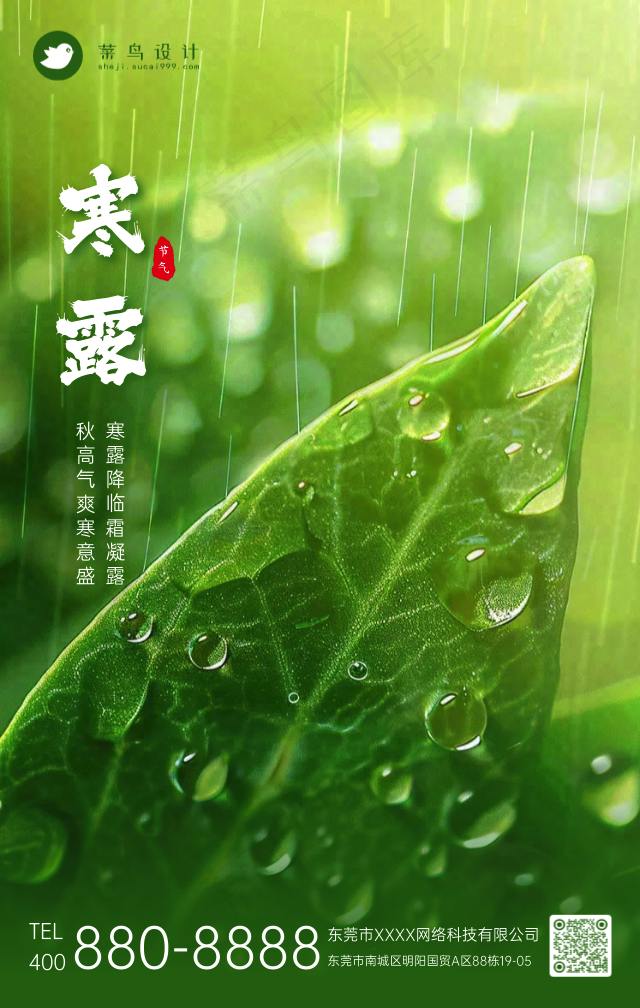 寒露手机海报