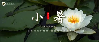 小暑公众号首图