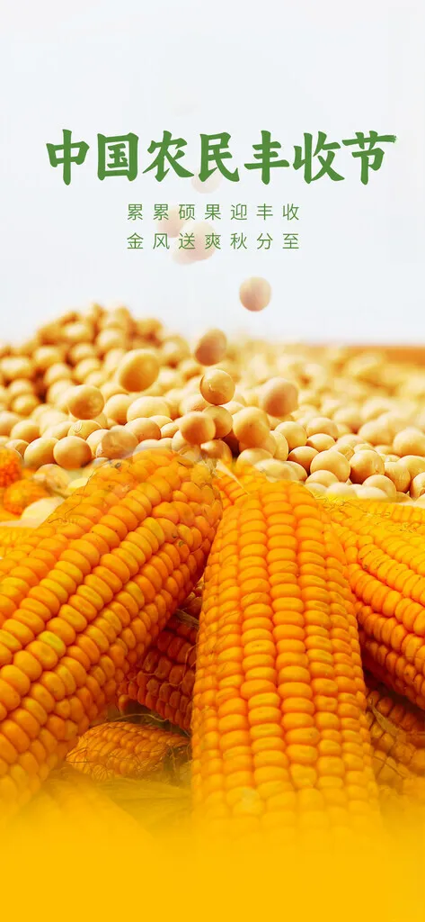 丰收节 丰收PSD分层素材