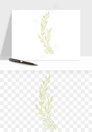 清新手绘植物png免抠