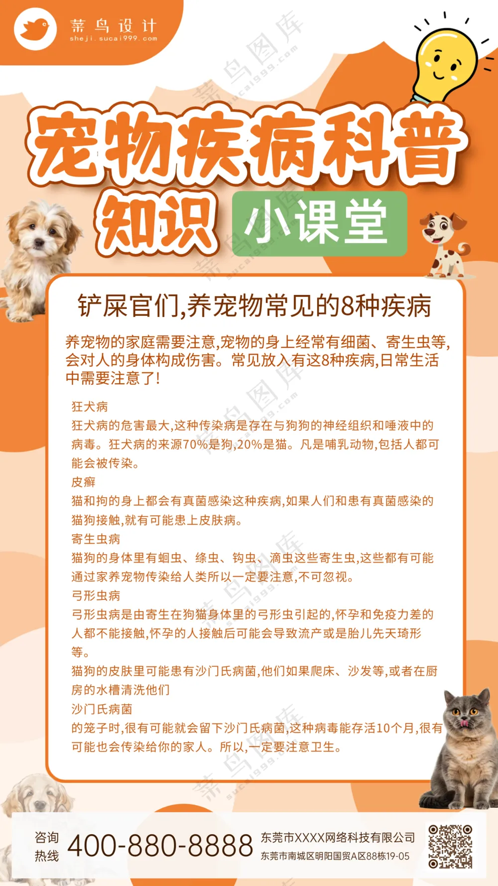 萌宠宠物科普知识手机海报
