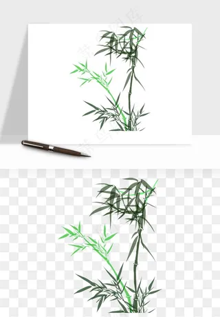 手绘竹子竹叶png免抠