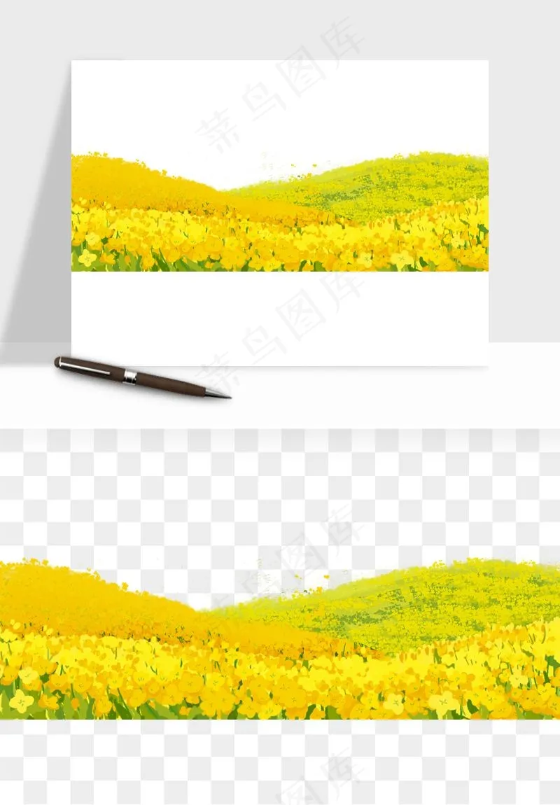 油菜花田png免抠