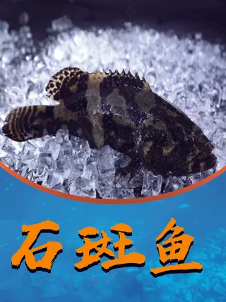 石斑鱼