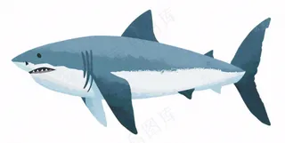 海洋鲨鱼动物卡通插画免抠