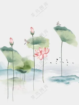 荷花荷叶插画素材