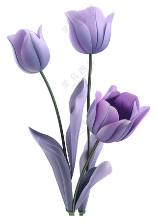 紫色郁金香插图