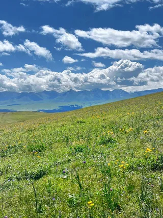 西北草原高原喀拉峻风景