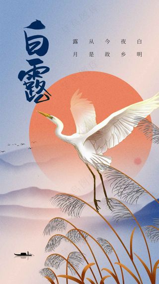 白露节气传统海报