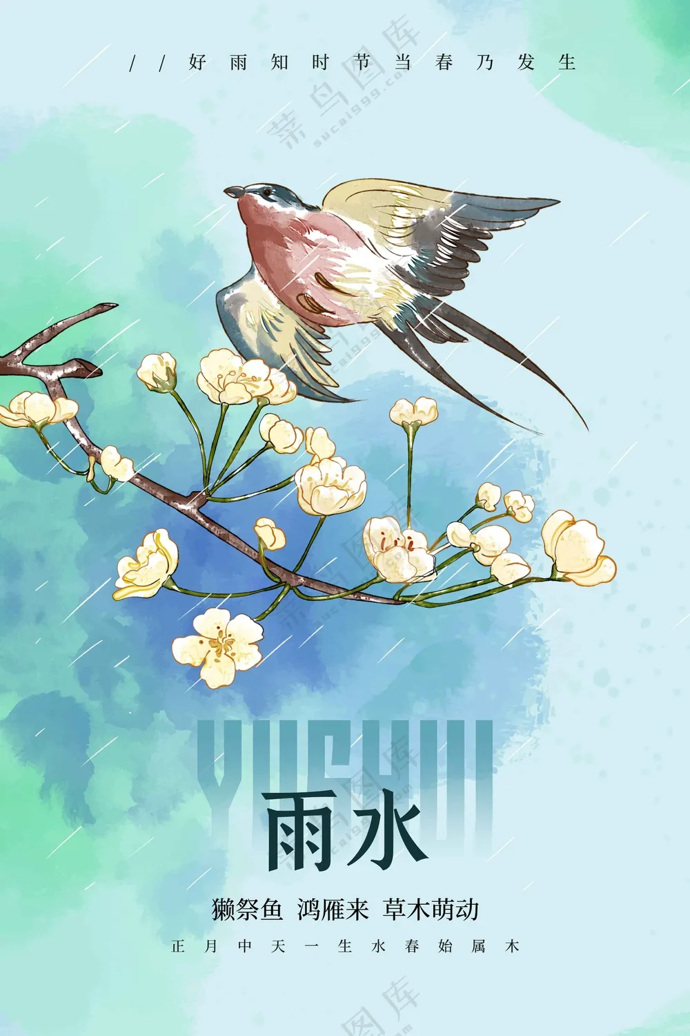 雨水节气传统活动海报