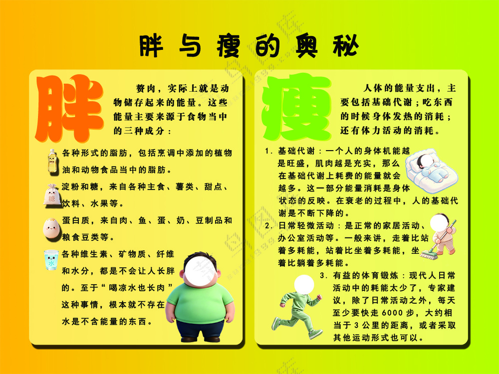 暖色调简约胖与瘦的奥秘