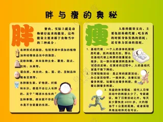 暖色调简约胖与瘦的奥秘
