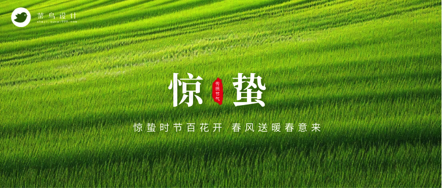 惊蛰公众号首图