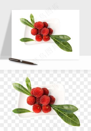 杨梅采摘水果png免抠