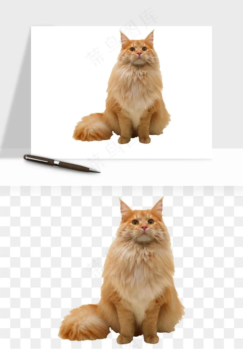 猫咪喵星人狗狗宠物元素png免抠