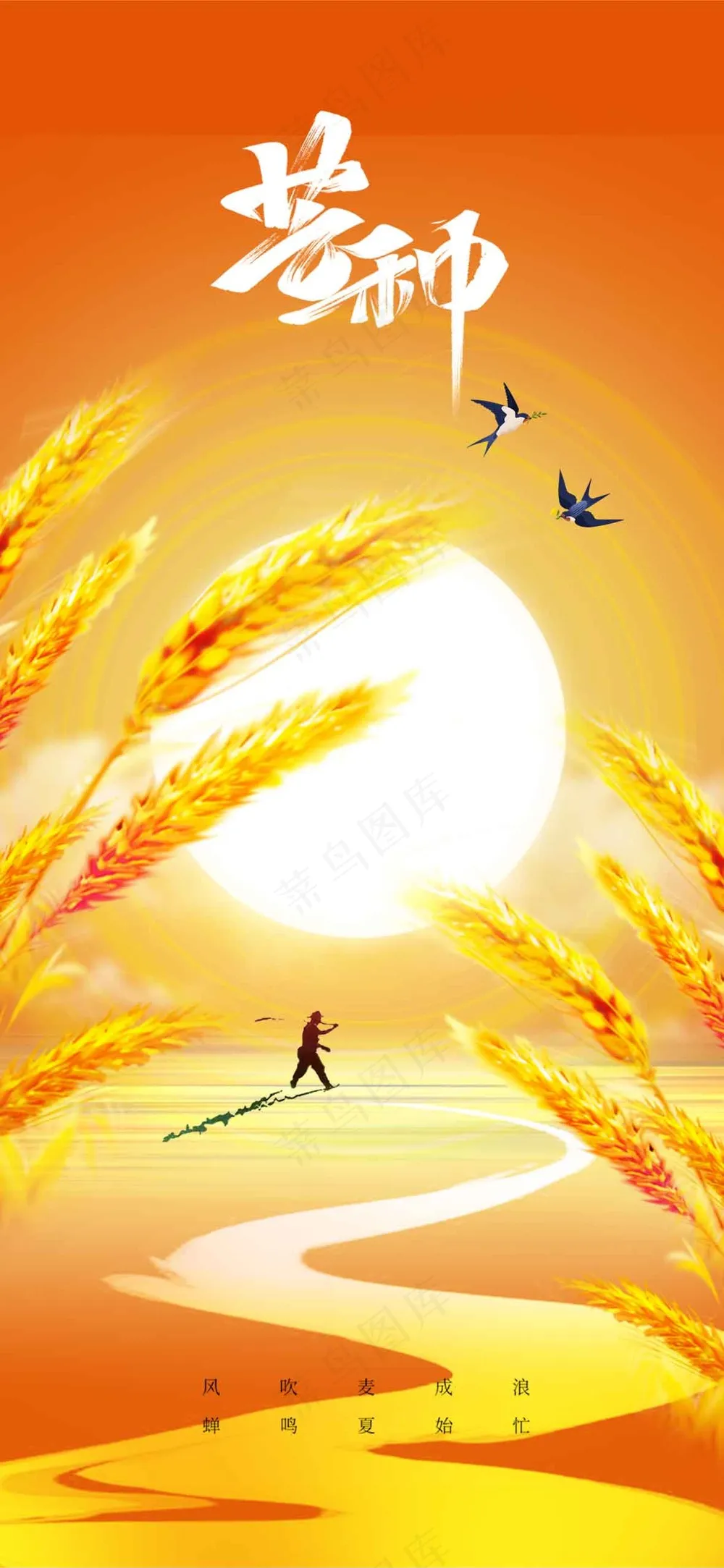 芒种节气传统活动宣传海报
