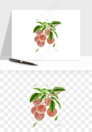 荔枝妃子笑水果png免抠