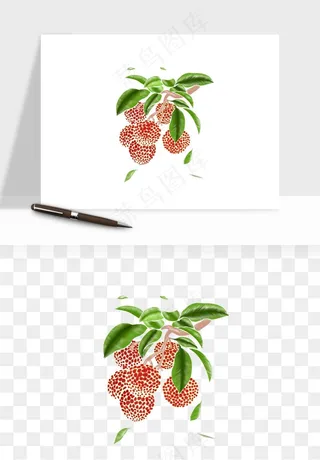 荔枝妃子笑水果png免抠