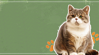 宠物常识宠物攻略猫狗卡通插画背景