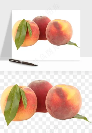 桃子油桃黄桃水果png免抠