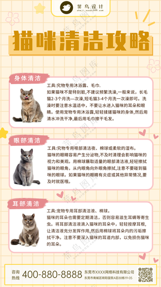萌宠宠物猫咪清洁攻略手机海报