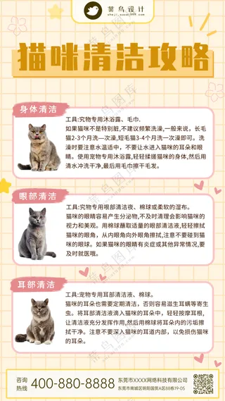 萌宠宠物猫咪清洁攻略手机海报