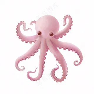 海洋动物章鱼墨鱼鱿鱼卡通插画免抠
