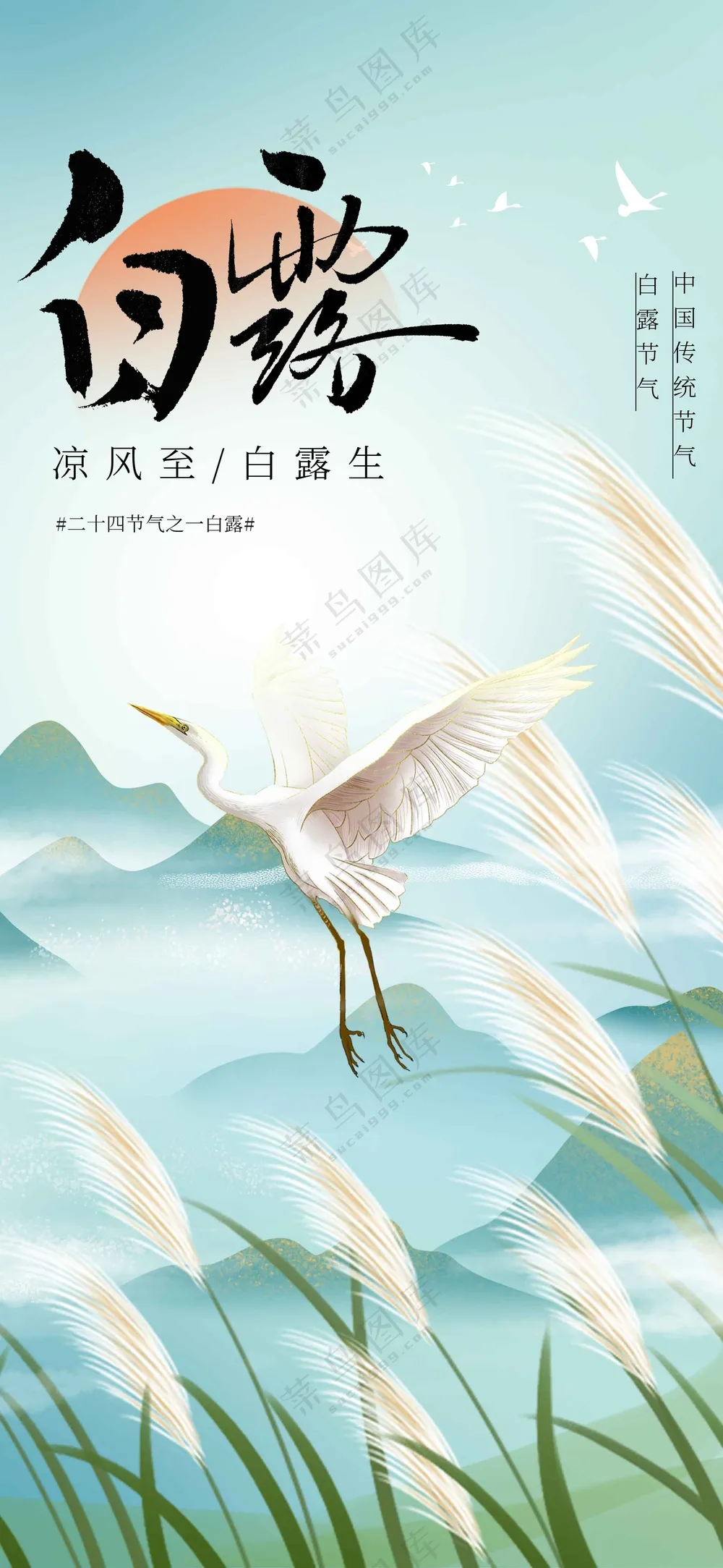 白露节气传统活动海报