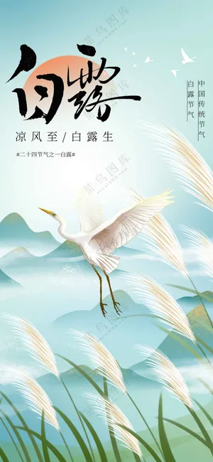 白露节气传统活动海报