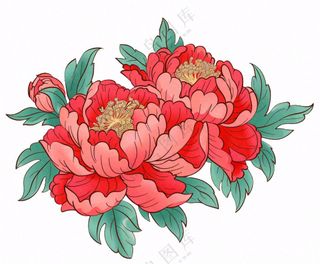 国花牡丹鲜艳花朵植物插画免抠