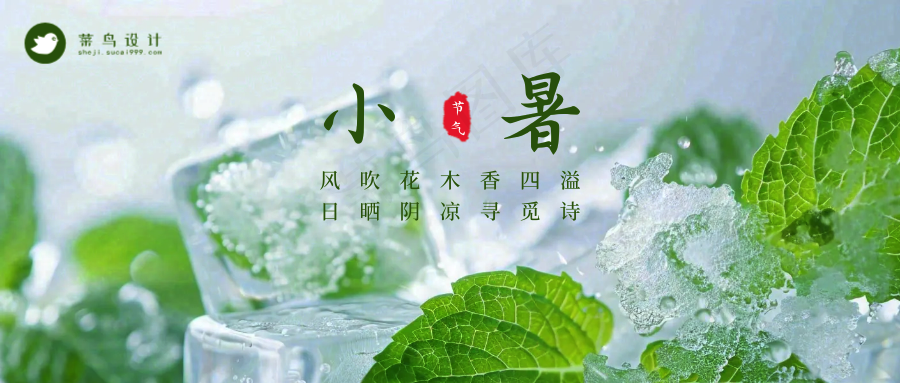 小暑公众号首图